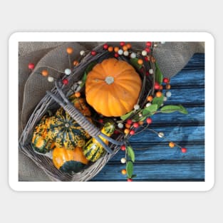 A basket of pumpkins in the fall season with fall decoration. Sticker